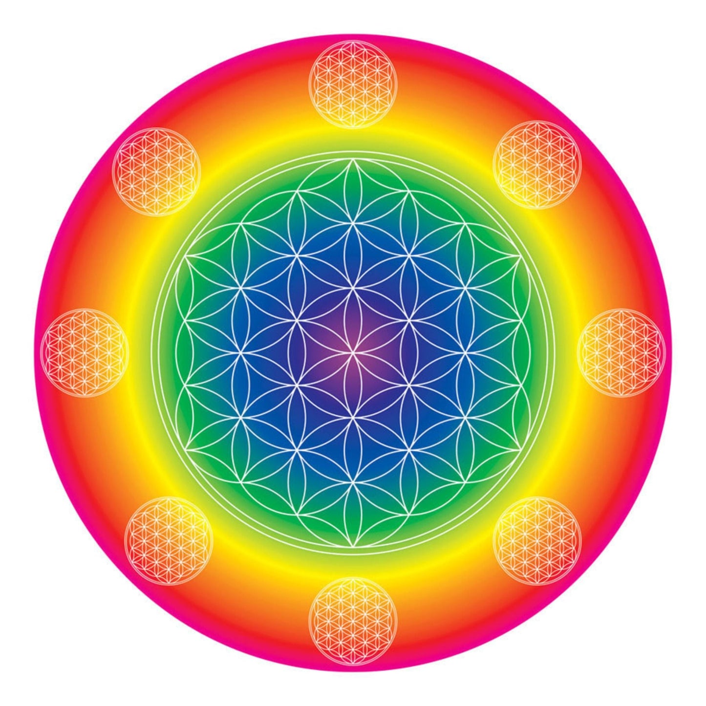 Rainbow Flower (auf Pappe) - 26,5 x 26,5 cm