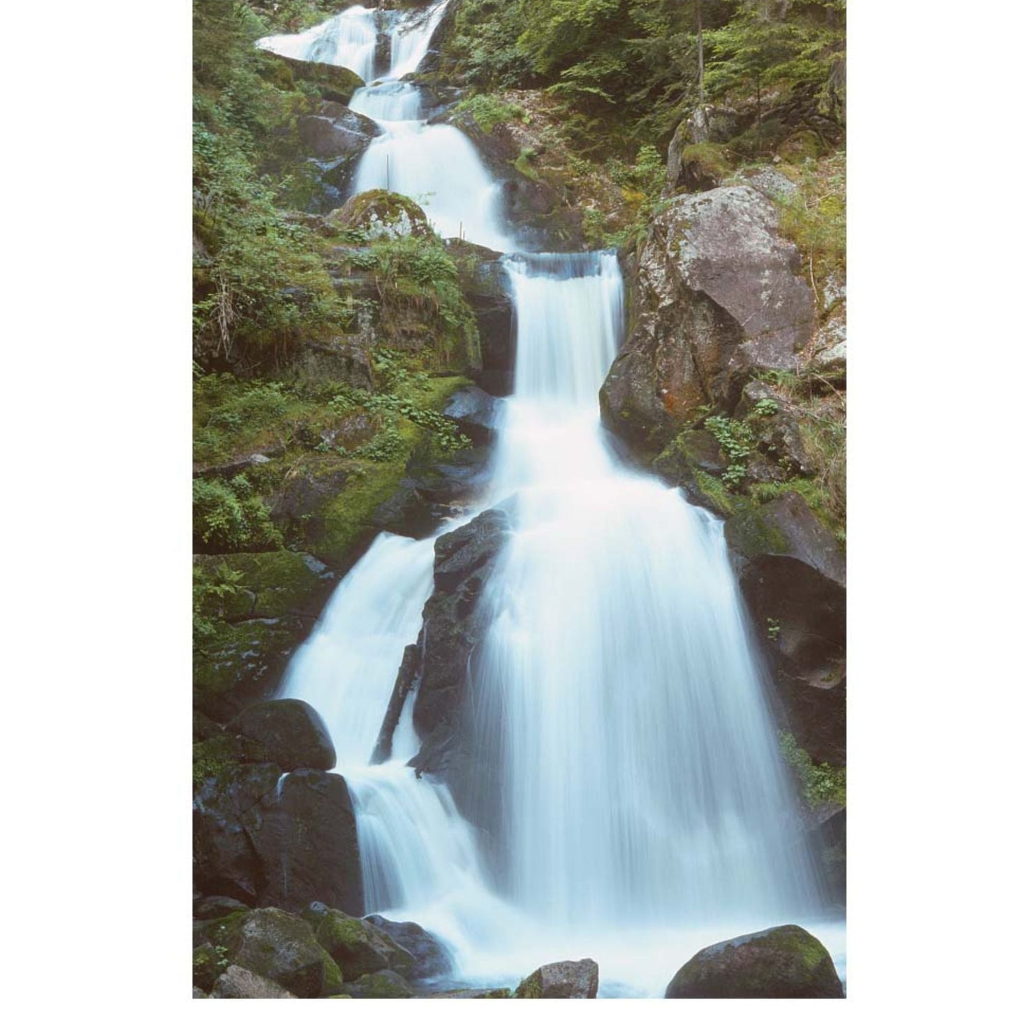 Water Vitality (groß)