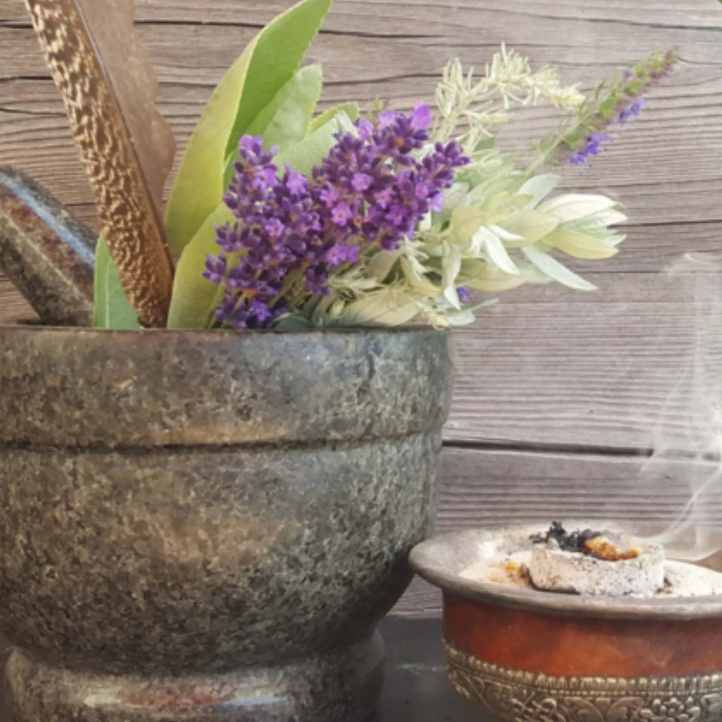 Die Sprache der Pflanzen - Kräuter- & Pflanzenwissen aus nah und fern