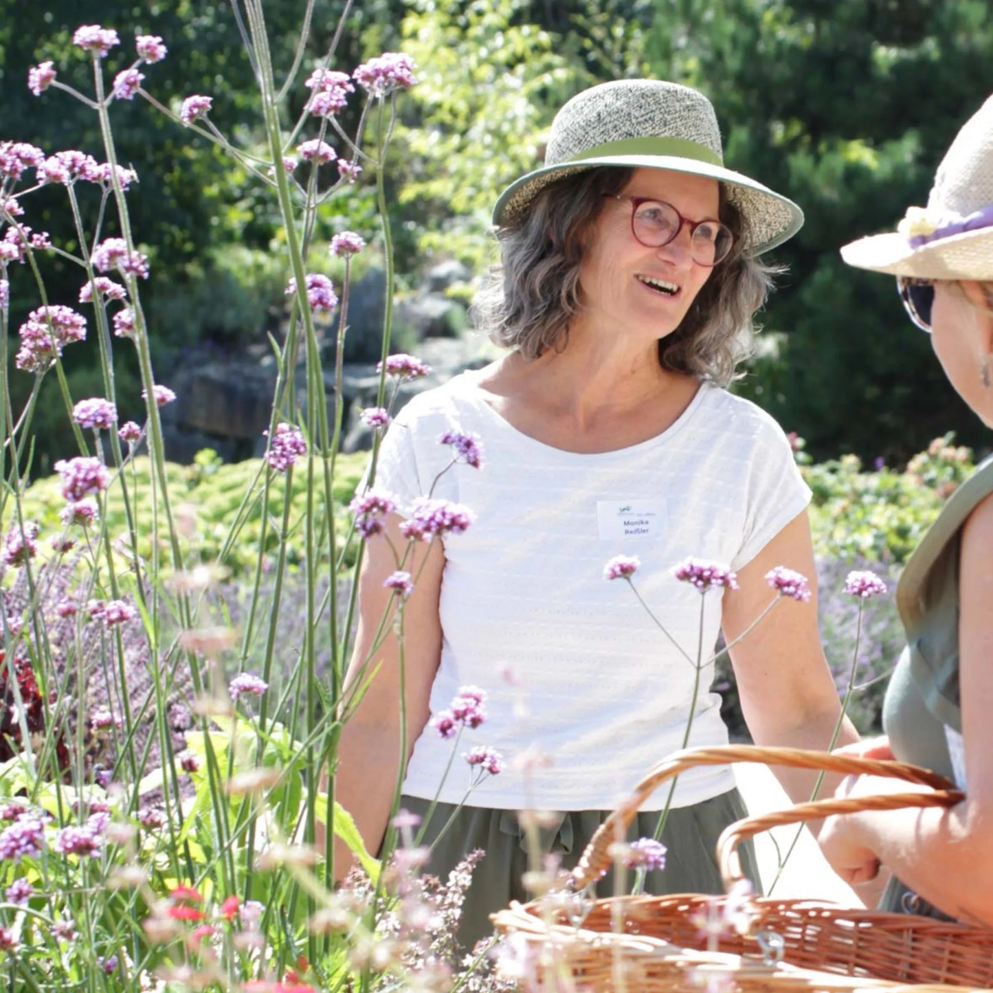 Räucherkräuter selbst sammeln