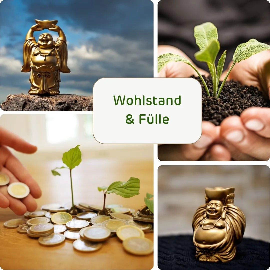 Wohlstand & Fülle
