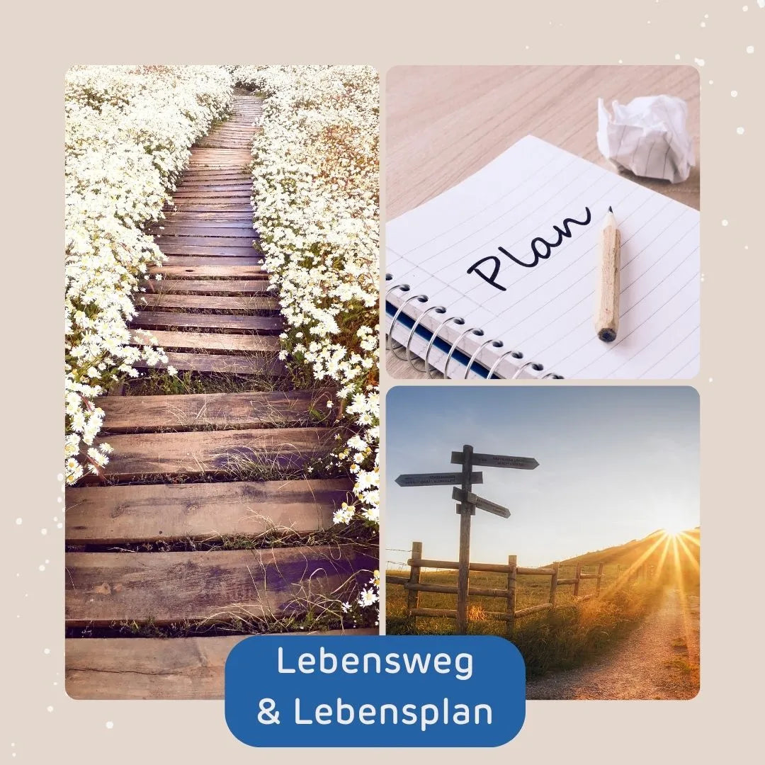 Lebensweg & Lebensplan