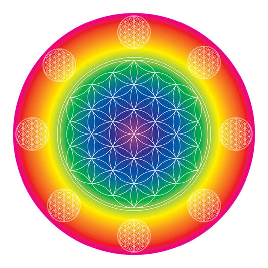 Rainbow Flower (auf Pappe) - 26,5 x 26,5 cm