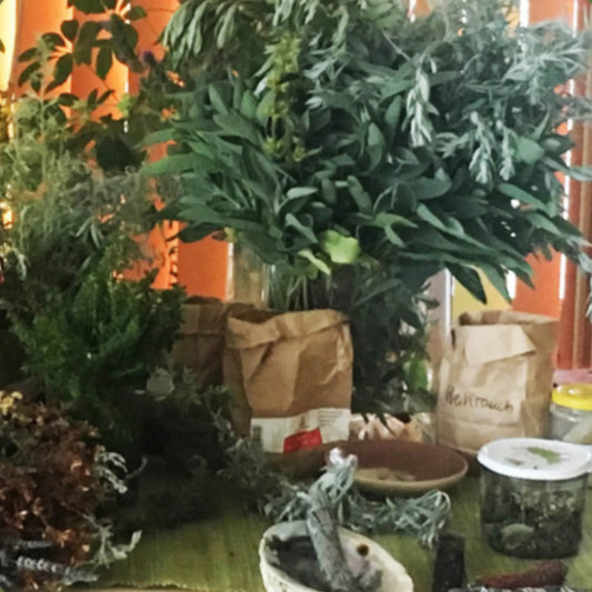 Räuchern im Leben verankern – und weitertragen - Februar 2026