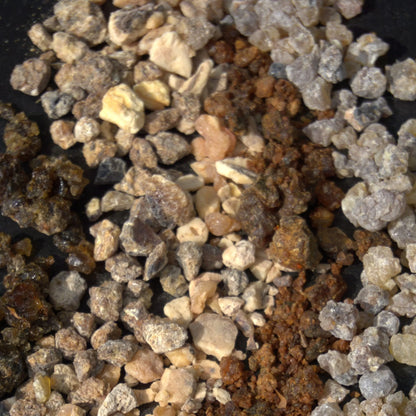 Fachausbildung in Räucherkunde – Alle 5 Seminare im Paket