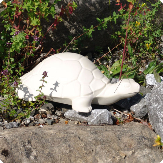 Turtle "Lucky Mountain"