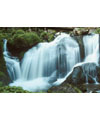 Water Fresh