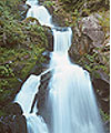 Water Vitality