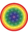 Energy Flower